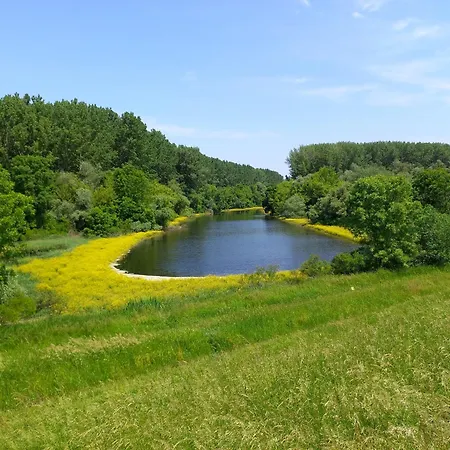 Vakantiehuis Chill House Danzug Gyomaendrőd