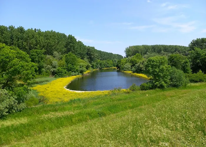 Feriehus Chill House Danzug Gyomaendrőd